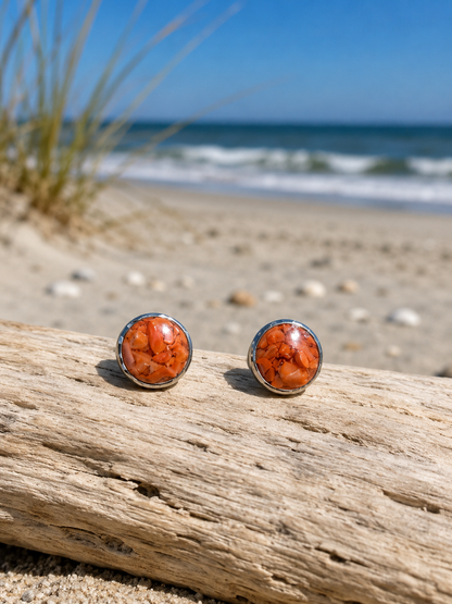 SHORE STUDS