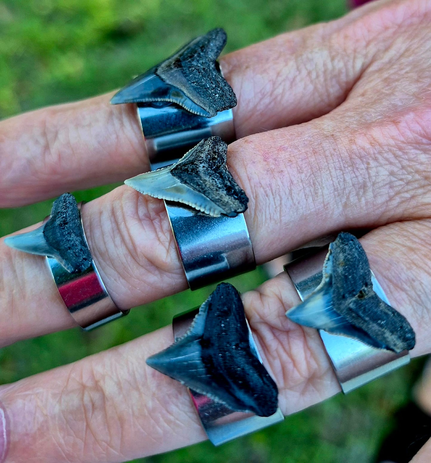 YOU SHOULDA PUT A SHARK RING ON IT